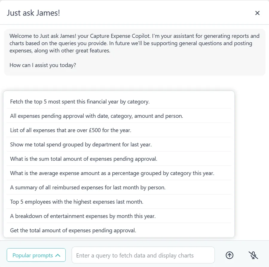 The copilot welcome message listing what it can do